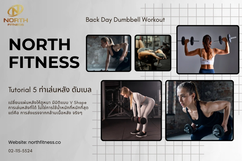 ท่าเล่นหลัง ดัมเบล
