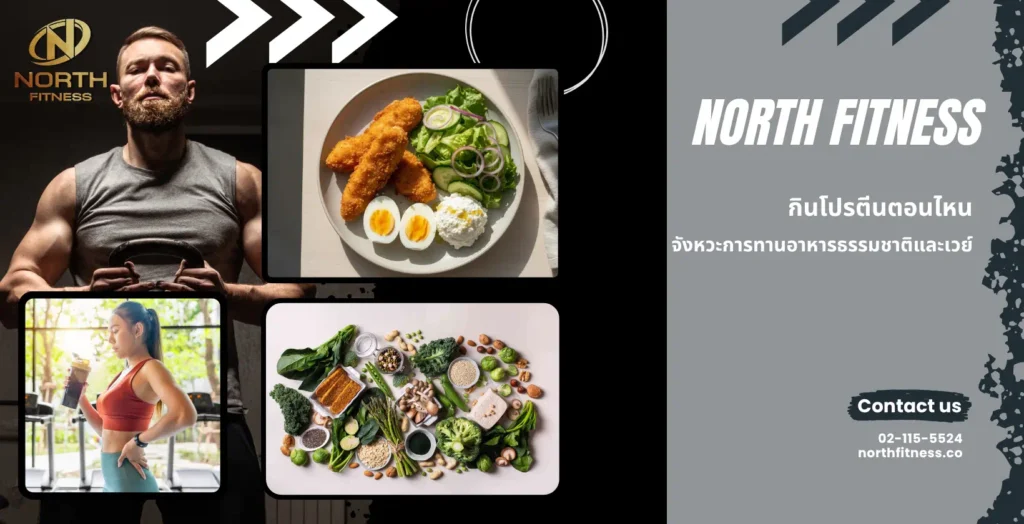 กินโปรตีนตอนไหน