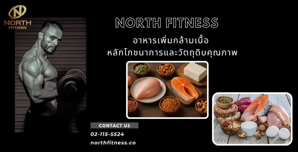 อาหารเพิ่มกล้ามเนื้อ