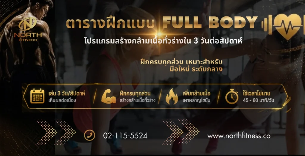 ตารางฝึกแบบ Full Body